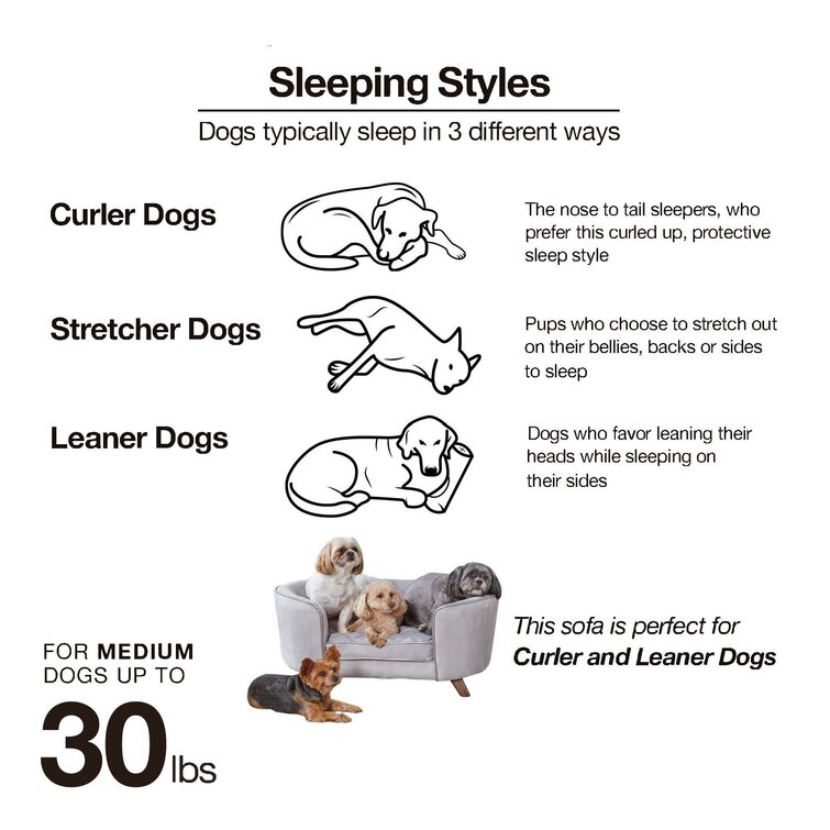 Tucker Murphy Pet™ Canapé pour chien Heise et Commentaires - Wayfair Canada