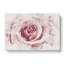 Pretty In Pink Rose Flower Watercolour - Wrapped Canvas Print-56660042