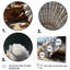 «Beach Photo Seashell Sonata II», reproduction sur toile-24555772