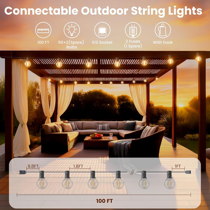 100FT Dimmable Outdoor Globe String Lights, 100ft