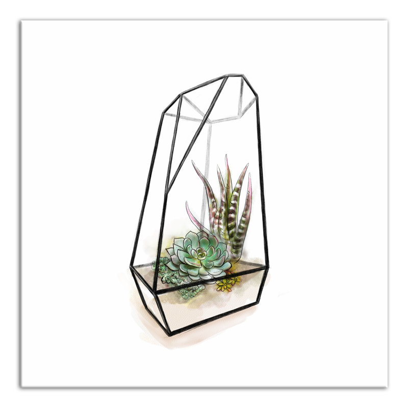 Terrarium sur toile, H 24 po x l 24 po x P 1,25 po