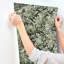 Papier peint à feuilles caduques Greenwood Moss-1899235712
