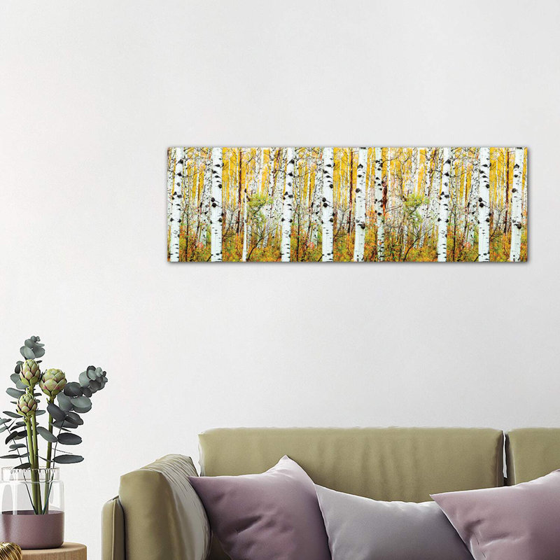 Aspen Trees Panorama, Colourado by Susanne Kremer - Wrapped Canvas Panoramic Print, 121.92 cm H x 40.64 cm W x 1.91 cm D