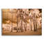 Bay Isle Home™ 'Florida Palms' by Jadei Graphics, Acrylic Glass Wall Art, 24"x16"-1386438958