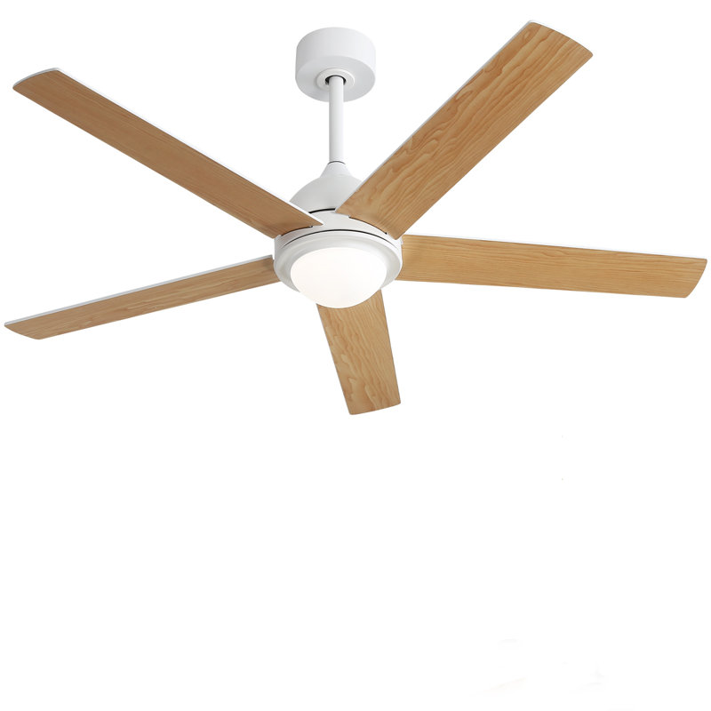Julicia 52'' Ceiling Fan with LED Lights and Wall Switch, Brown