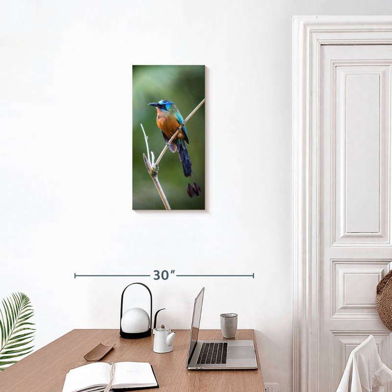 Motmot à la Trinité, H 24 po x l 12 po