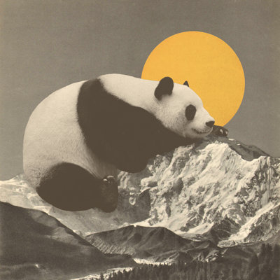 "Florent Bodart Panda géant sur les montagnes" par Florent Bodart - impression sur toile tendue