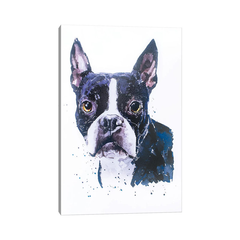 «Boston Terrier» par Edswatercolours - Giclée sur toile tendue avec châssis, H 26 po x l 18 po x 1,5 po