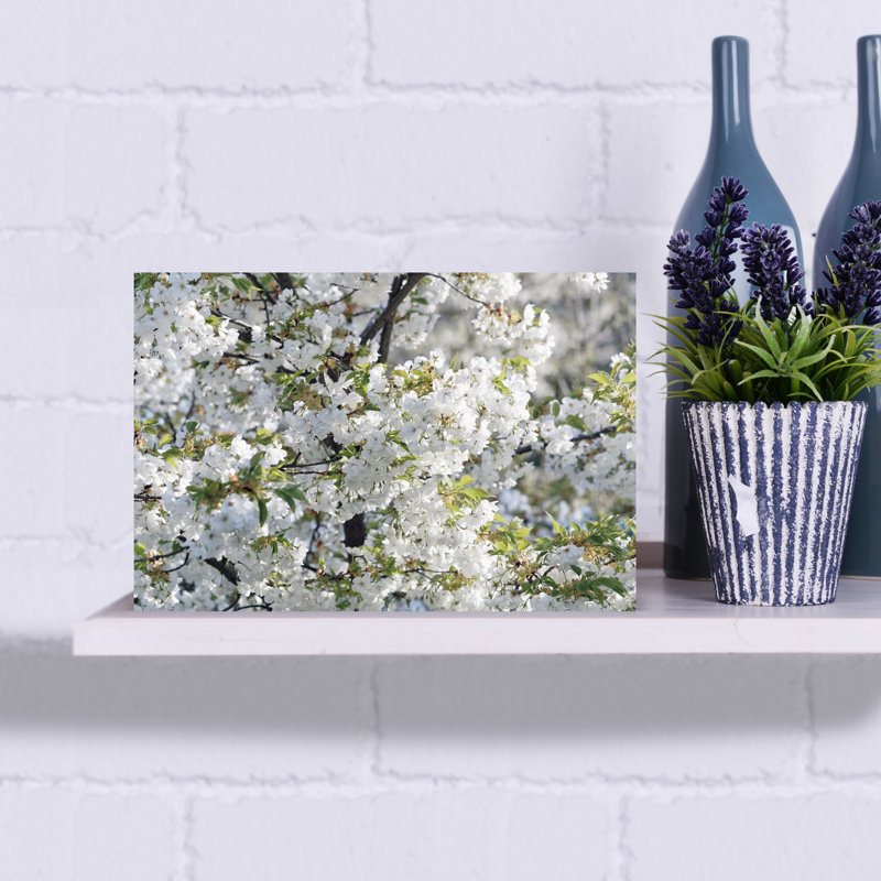 Cherry Tree Blossoms In Springtime Prague Czech Republic by Frank Chmura - Wrapped Canvas Print, 30.48 cm H x 45.72 cm W