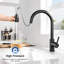 Belfry Kitchen Kitchen Faucet-13494525