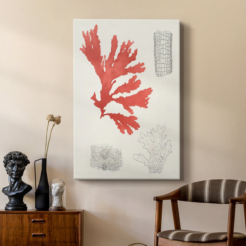 Étude de corail rétro III - galerie Cavas sur mesure, H 27 po x l 18 po