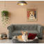 Canapé-lit pour chien durable-121424589