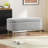 Lataif Oval Storage Bench-1704726340
