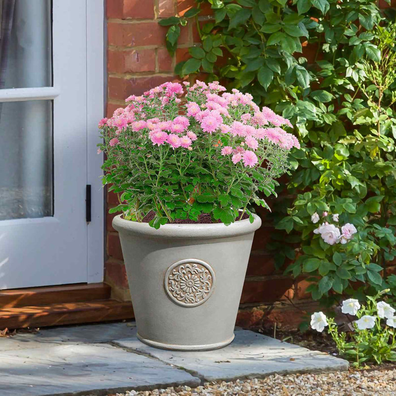 Rustic Style Rolled Rim Wide Vase Planter, Beige, 26cm H x 30.5cm W x 30.5cm D