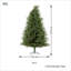Christmas Tree-5649592