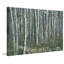 «Magical Green Forest» par Parvez Taj, reproduction d'art sur toile tendue-1206838544
