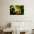 Brampt Tree Frog-107850624