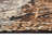 Abstract Indoor / Outdoor Rug-733549357