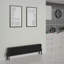 Altynay Horizontal Traditional 4 Column Radiator-1462506704-1462506719
