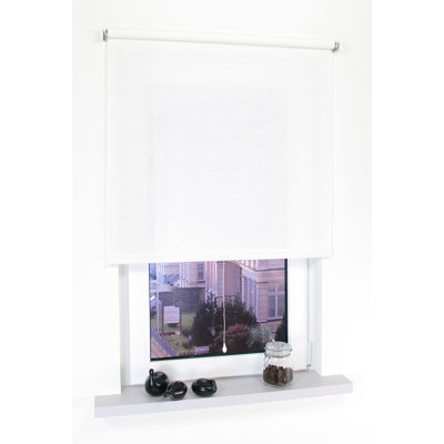 Opaque Roller Shade