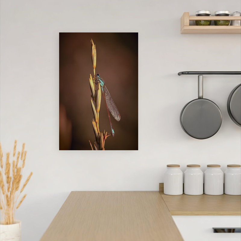 Elegant Blue Damselfly Delicate Elegant Peaceful Animal Nature Wall Art Print 1 Piece Wrapped Canvas Wall Art