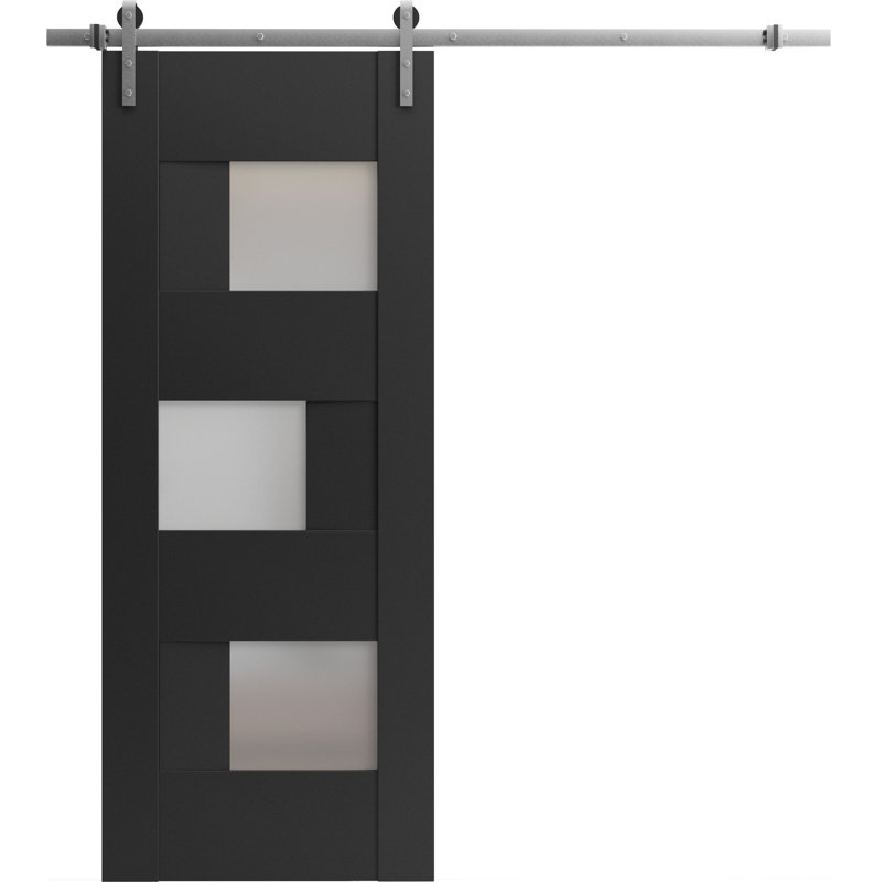 Ensemble de porte de grange robuste en verre givré de 6,6 pi Sete, Noir mat, 36 po x 96 po