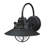 Ashmi Wall Light