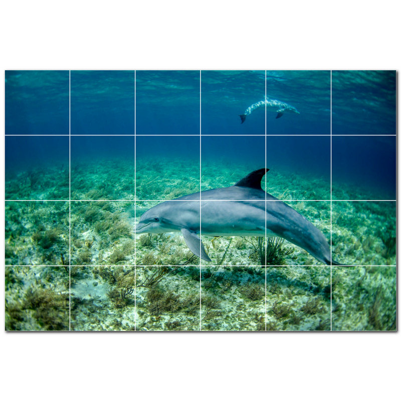Murale décorative en céramique 4,25 po x 4,25 po Dolphin Photo
