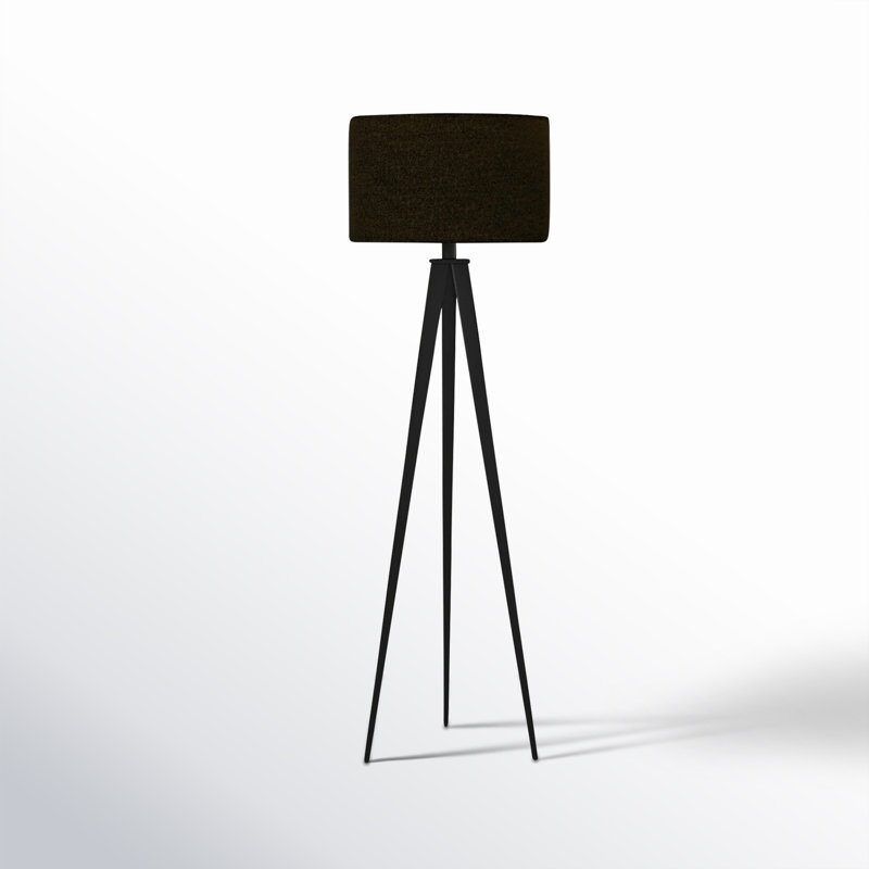 Lampe sur pied 61,5 po Cas, Noir, Noir