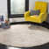 Stonybrook Memphis Shag Performance Rug