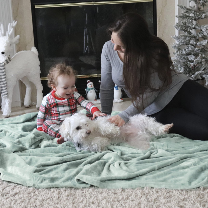 Bedsure Soft Fluffy Fleece Throw Blanket for Sofas&Beds, 200cm x 150cm, Jadeite