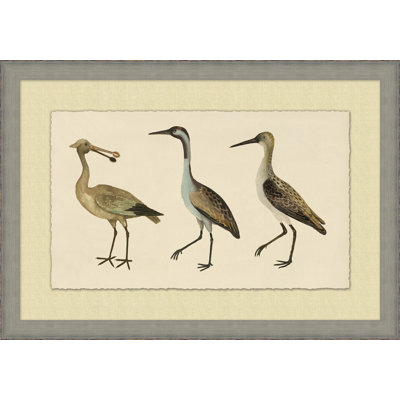 Coastal Birds 1 Print