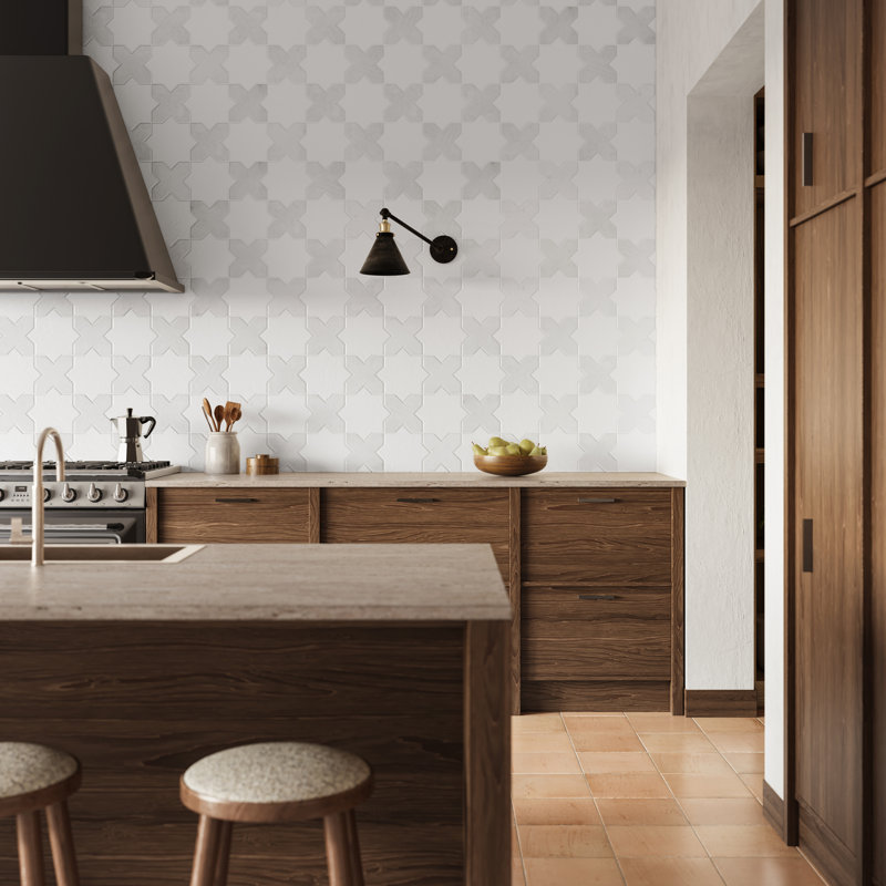 Parma Star-Crossed 6x6 Matte Terracotta Look Porcelain Floor and Wall Tile, Polished White/White