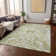 Chayden Washable Damask Indoor / Outdoor Rug