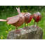 Halcomb Animals UV Resistant Metal Garden Statue