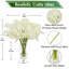 Arrangement in Vase-1009169565