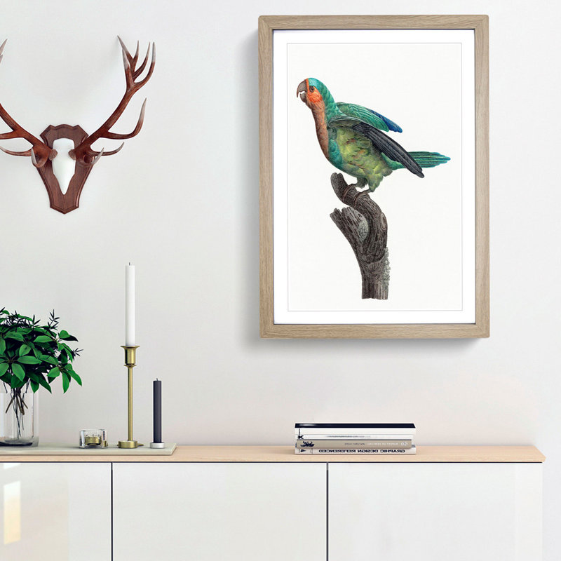 A Yellow-Crowned Parakeet by F. Levaillant - Framed Print, 45cm H x 33cm W x 2cm D, Oak Framed