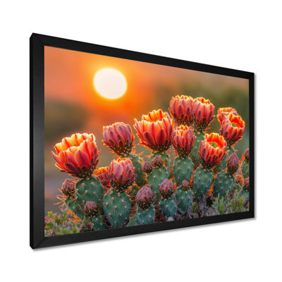 Kirsteni Blooming Cacti At Sunset I - cactus, art mural