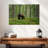 European Brown Bear-107670665