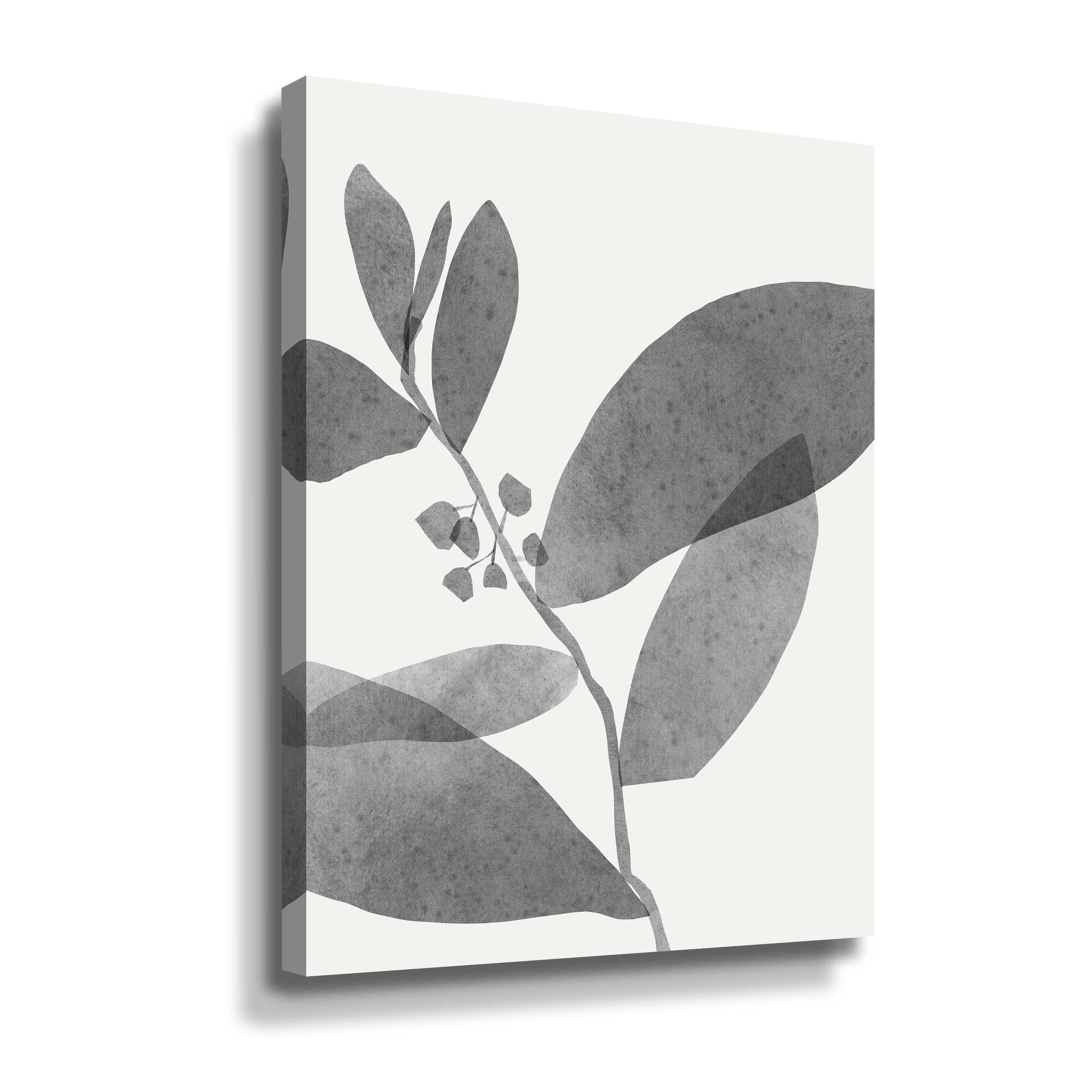 Winston Porter New Roots II New Roots II - Photograph on Canvas ...
