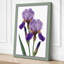 Twin Irises Botanical - Wrapped Canvas-1462500635-1462500634