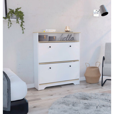 Shoe Storage Cabinet