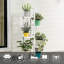 Solid Wood 5 Tier Plant Stand