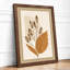 Dual Specimens Study Botanical - Framed Print-714615367-714615366