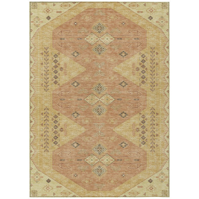 Machine Washable Indoor/Outdoor Chantille ACN2565 Global Rug