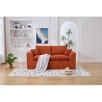 Modular Sectional Sofa Cloud Couch,Comfy Cloud Modern Sofa,2 Seater With Cushion Covers