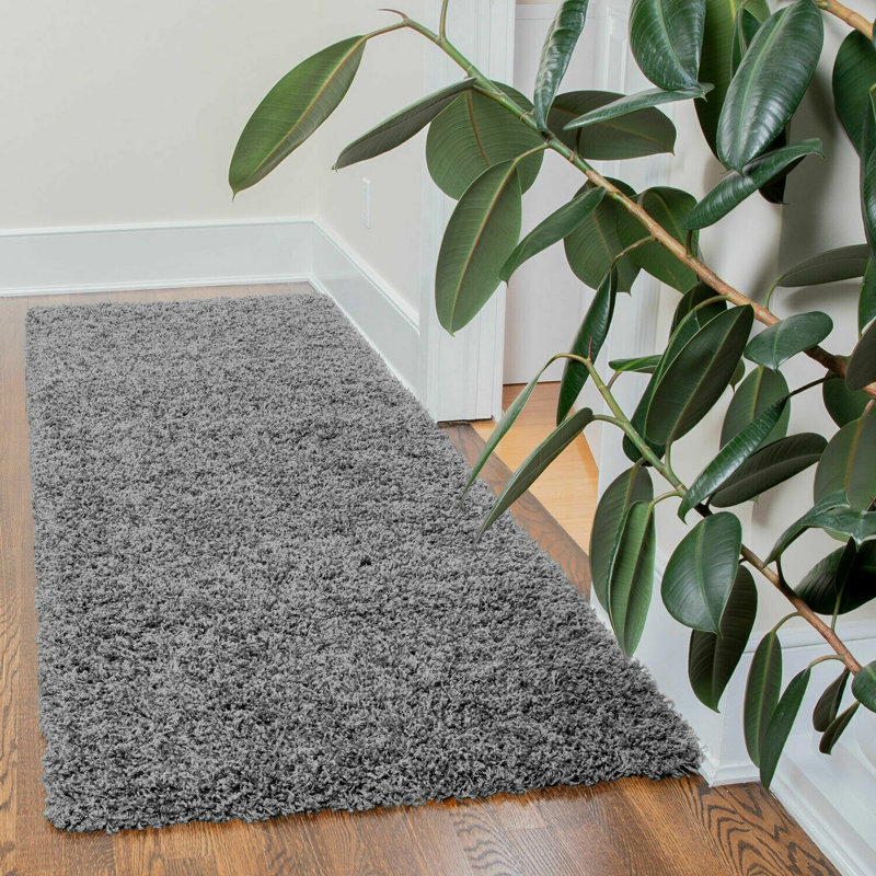 Runner Aanuoluwa Solid Colour Shag 60cm X 220cm Indoor / Outdoor Area Rug