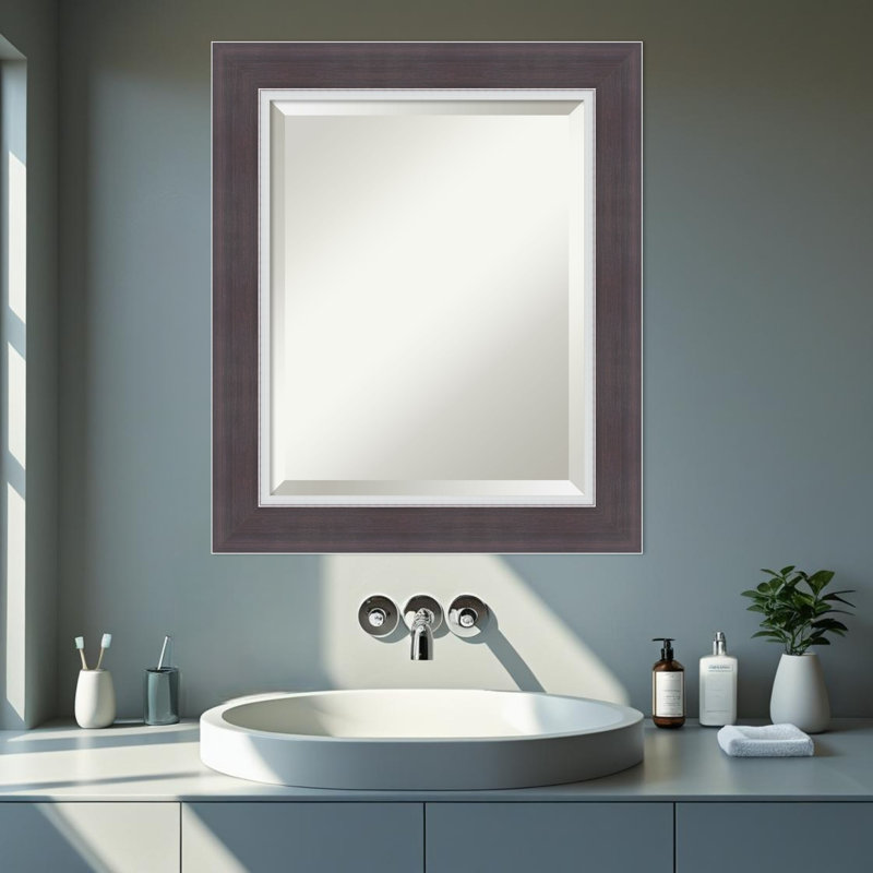Miroir mural de salle de bain Ellie, 25,5 po x 21,5 po, Brun ; Argenté