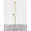 White Light #001 Print by Keiichiro Muramatsu