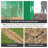 Greenhouse Multiple Sizes-92124147-100504715